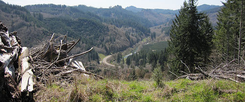 pano from top