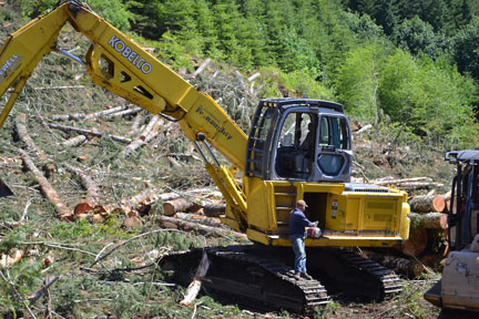 logging