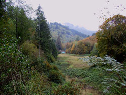 homestead lloking from the top of the meadow down to the wood fire kiln and studio building